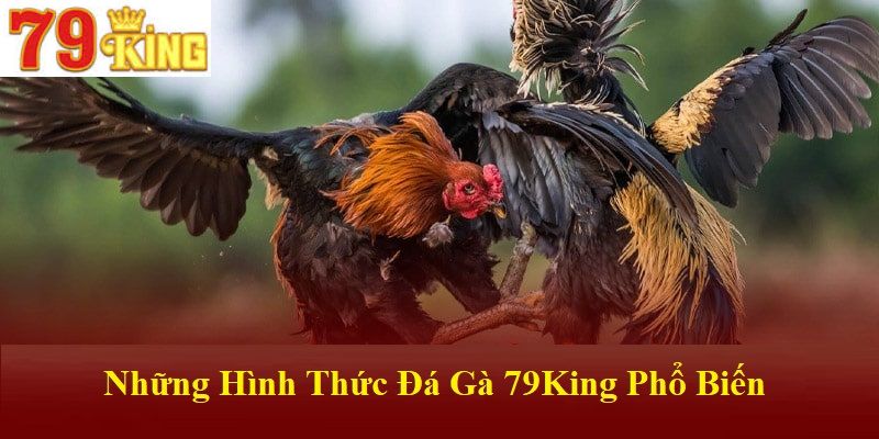 Các loại hình thi đấu gà chọi được phục vụ trên nền tảng