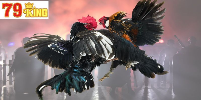 Hướng dẫn chuẩn các bước truy cập sảnh chơi và cá cược