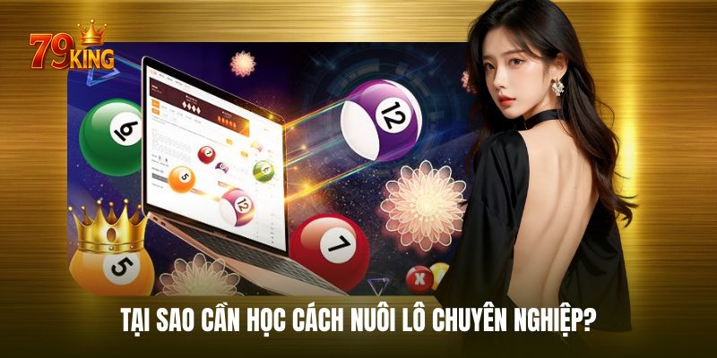 Lý do nhiều người lựa chọn nuôi lô trong xổ số